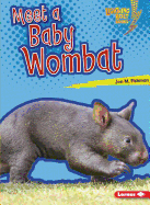 Meet a Baby Wombat