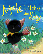 Mole Catches the Sky Book Cover Image