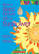 How a Seed Grows Into a Sunflower