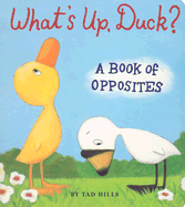 What's Up, Duck?: A Book of Opposites