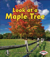 Look at a Maple Tree