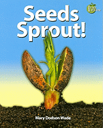 Seeds Sprout!