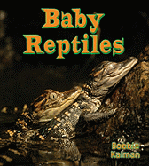 Baby Reptiles