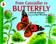 From Caterpillar to Butterfly