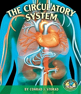 The Circulatory System