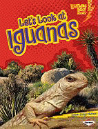 Let's Look at Iguanas