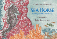 Sea Horse: The Shyest Fish in the Sea