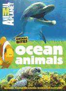 Ocean Animals