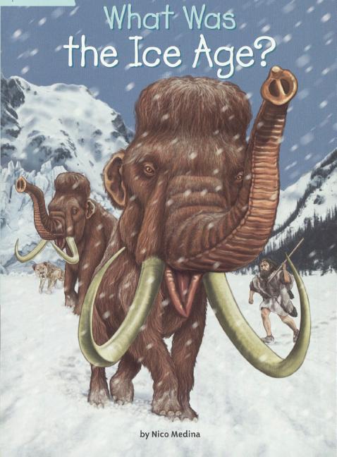 What Was the Ice Age?