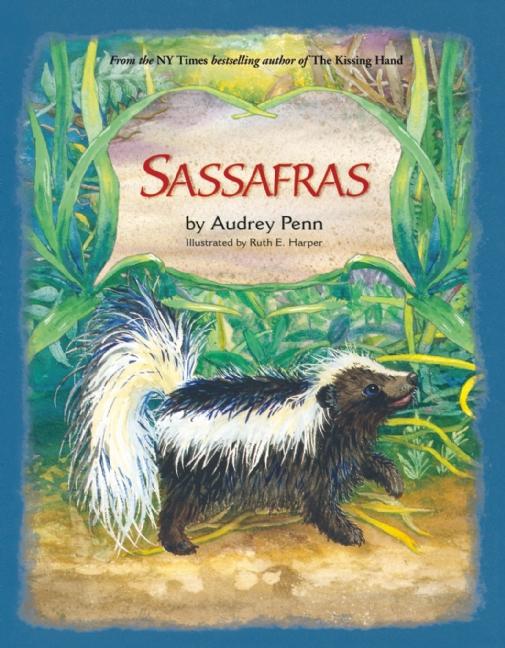 Sassafras