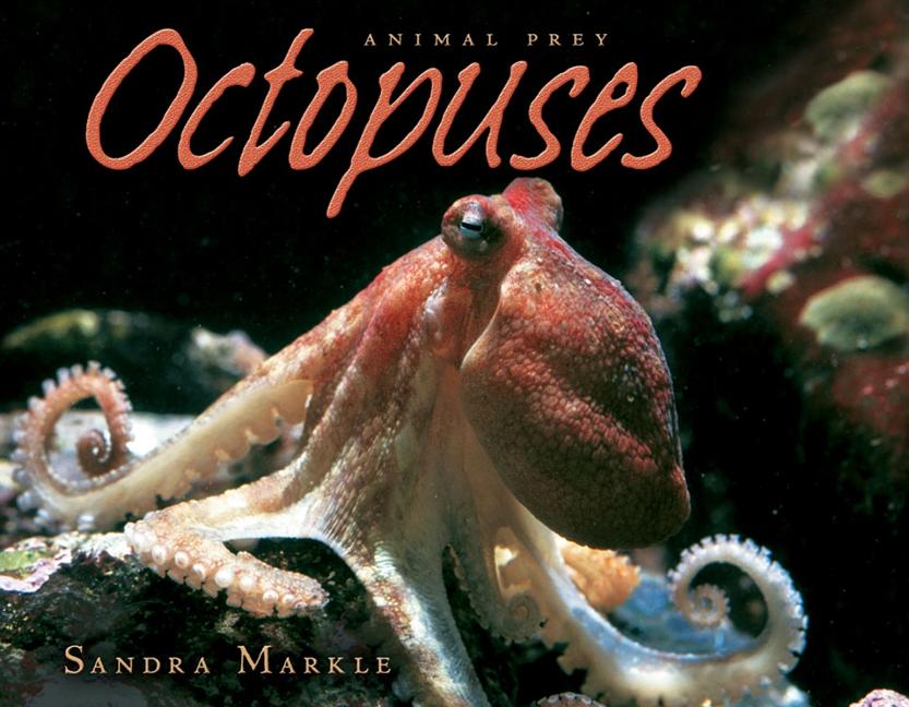 Octopuses