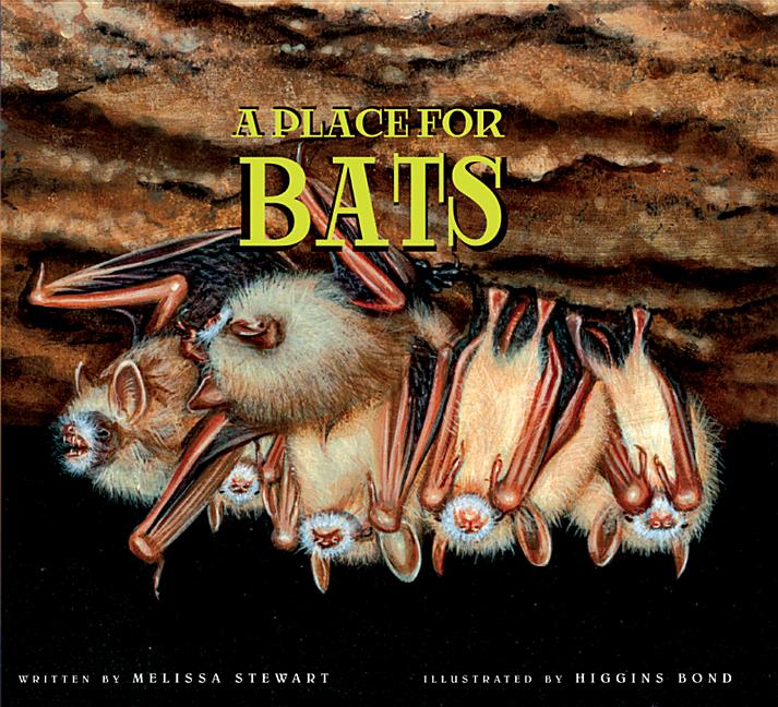 A Place for Bats