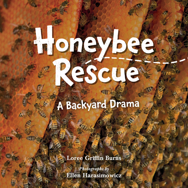 Honeybee Rescue: A Backyard Drama