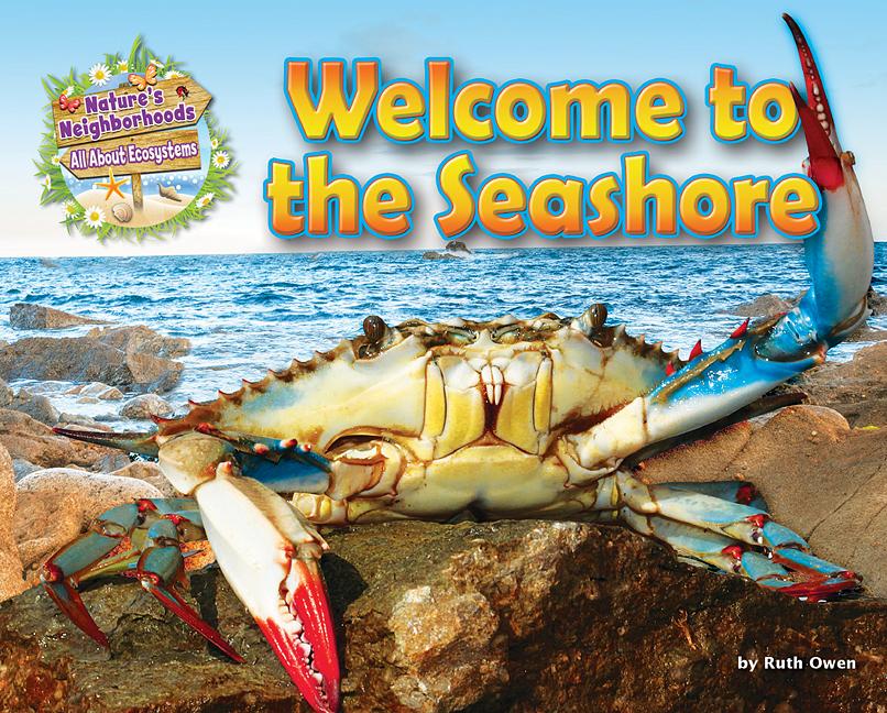 Welcome to the Seashore