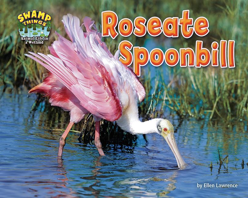 Roseate Spoonbill