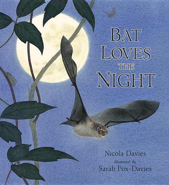 Bat Loves the Night