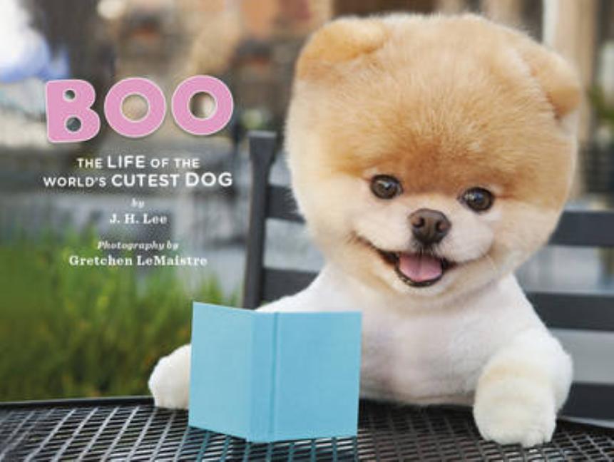 Boo: The Life of the World's Cutest Dog