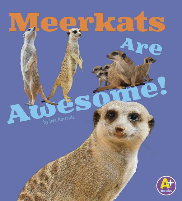 Meerkats Are Awesome!