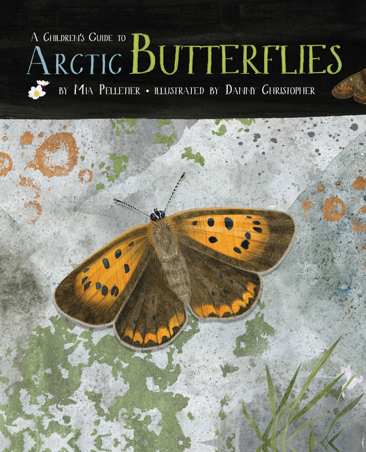 A Children's Guide to Arctic Butterflies