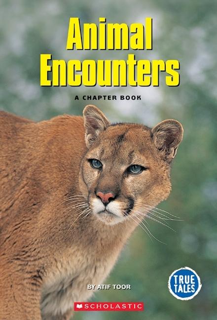 Animal Encounters