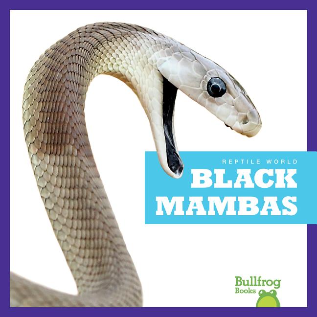 Black Mambas