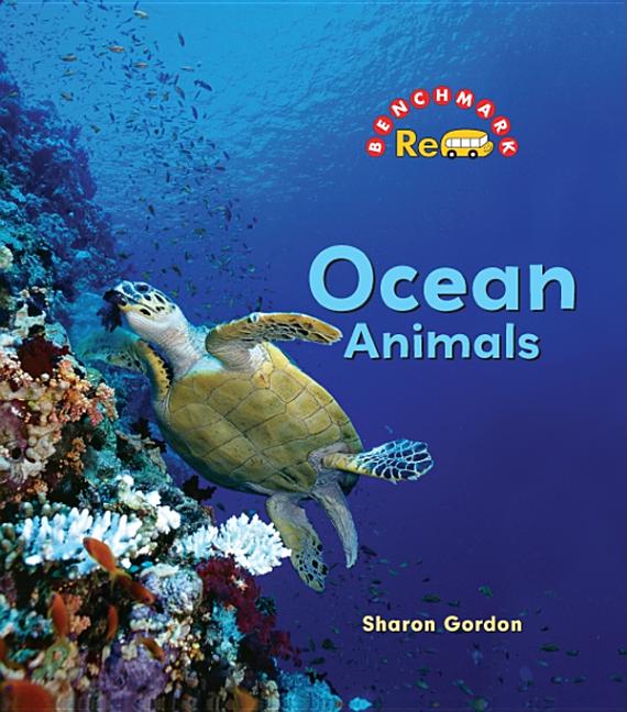 Ocean Animals