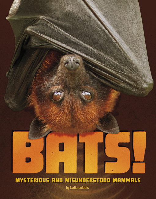 Bats!: Mysterious and Misunderstood Mammals