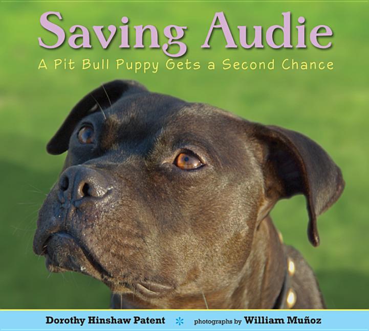 Saving Audie: A Pit Bull Puppy Gets a Second Chance