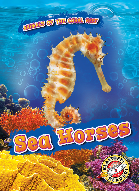 Sea Horses