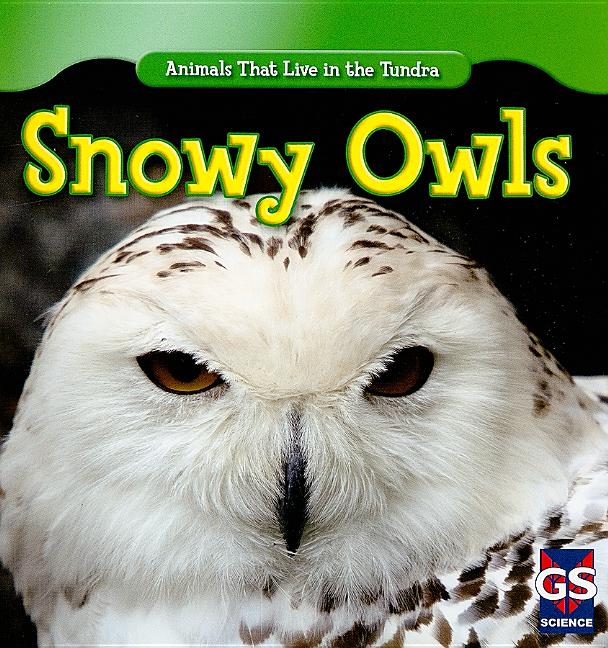 Snowy Owls