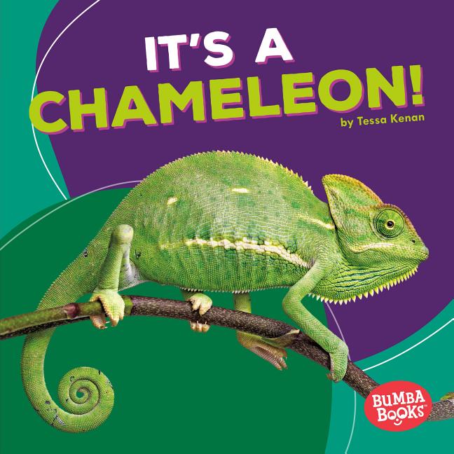 It's a Chameleon!