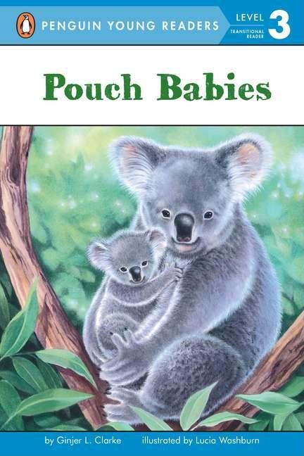 Pouch Babies