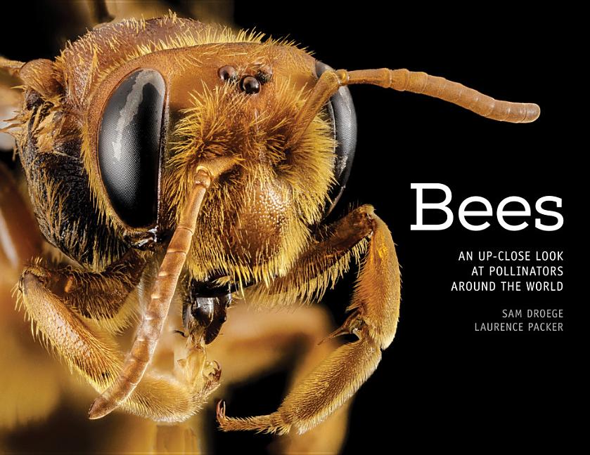 Bees: An Up-Close Look at Pollinators Around the World