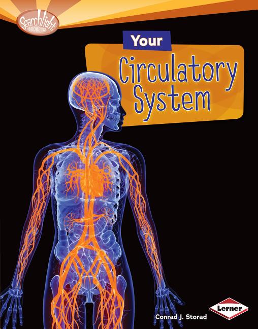 Your Circulatory System