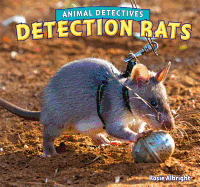 Detection Rats