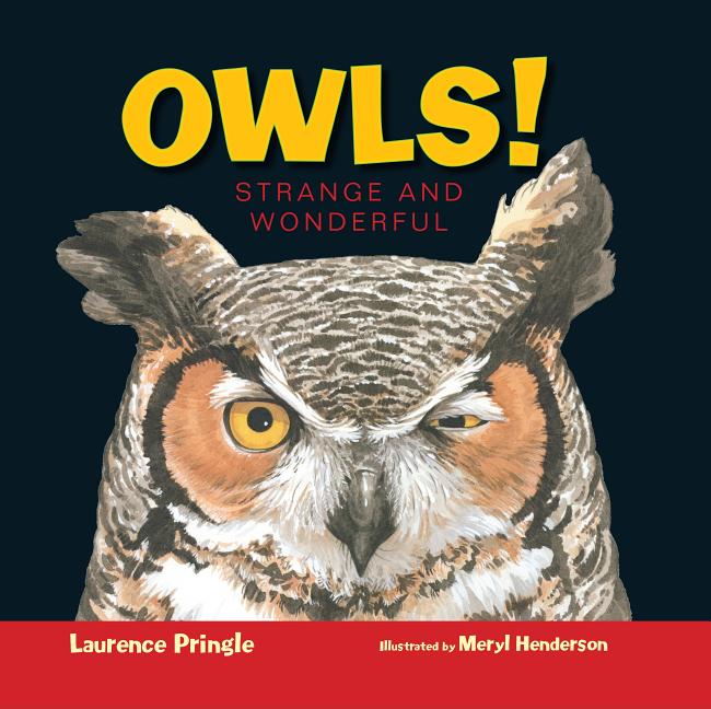 Owls!: Strange and Wonderful