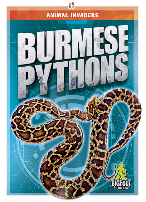 Burmese Pythons
