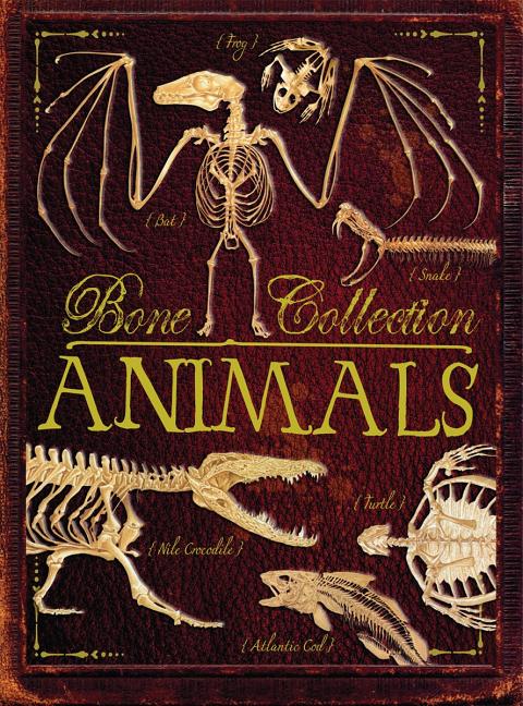 Bone Collection: Animals