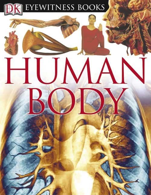 Human Body