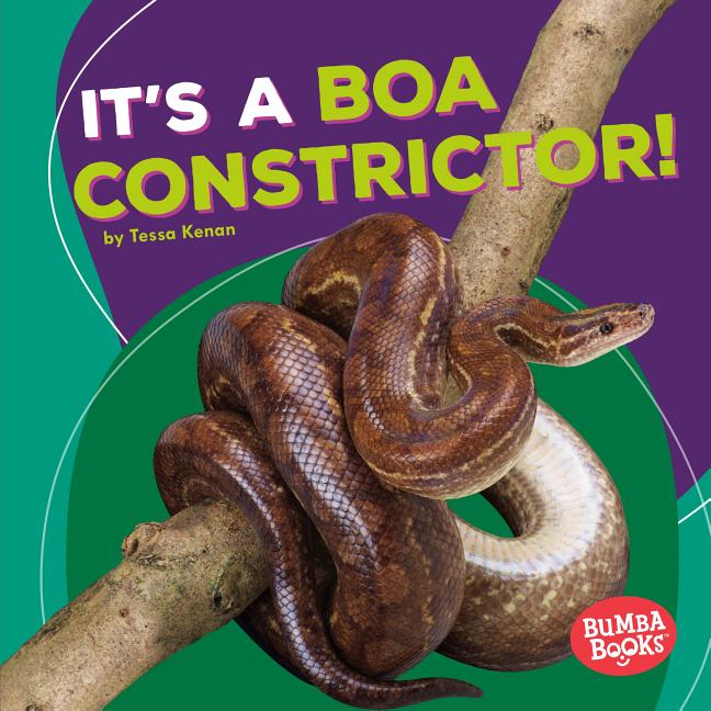 It's a Boa Constrictor!