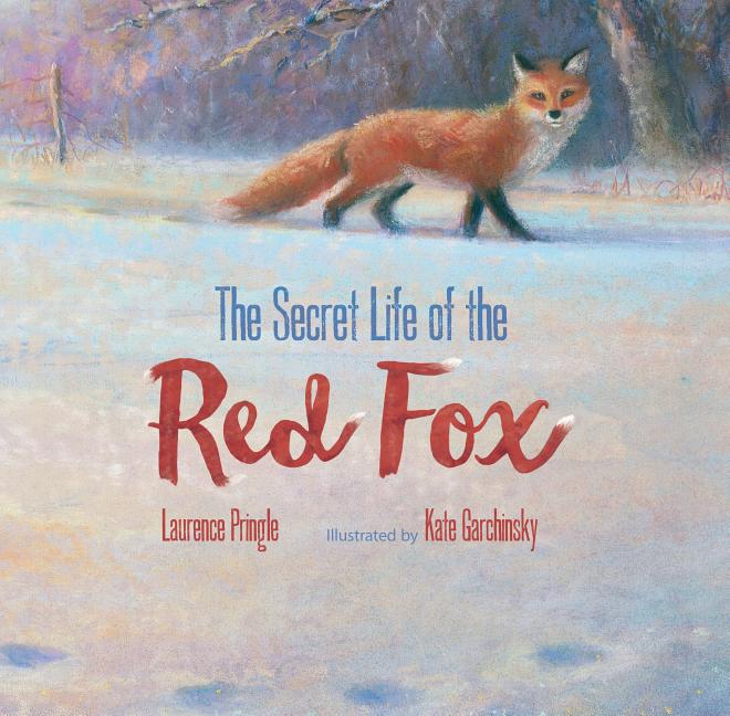 The Secret Life of the Red Fox