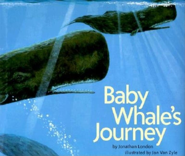 Baby Whale's Journey