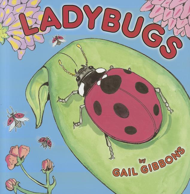 Ladybugs