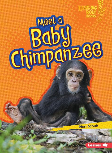 Meet a Baby Chimpanzee