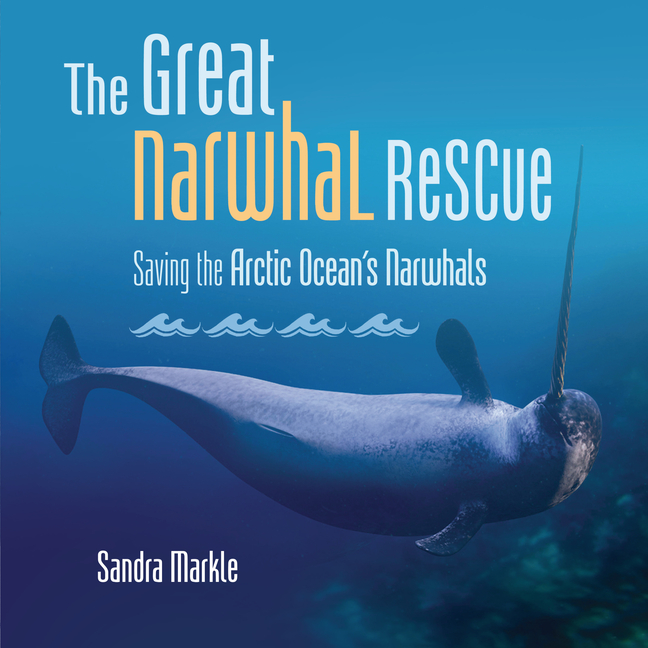 The Great Narwhal Rescue: Saving the Arctic Ocean's Narwhals
