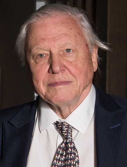 Photo of David Attenborough