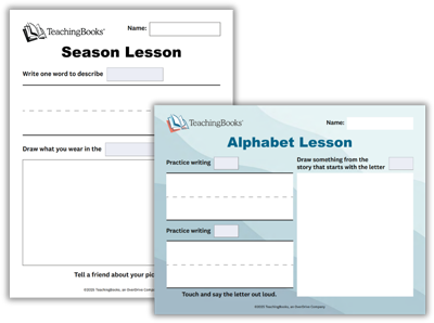 Vocabulary graphic organizers