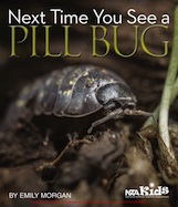 Next Time You See a Pill Bug