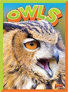 Owls