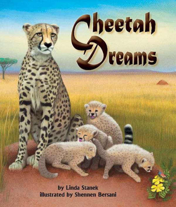 Cheetah Dreams